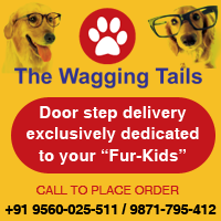 TheWaggingTails